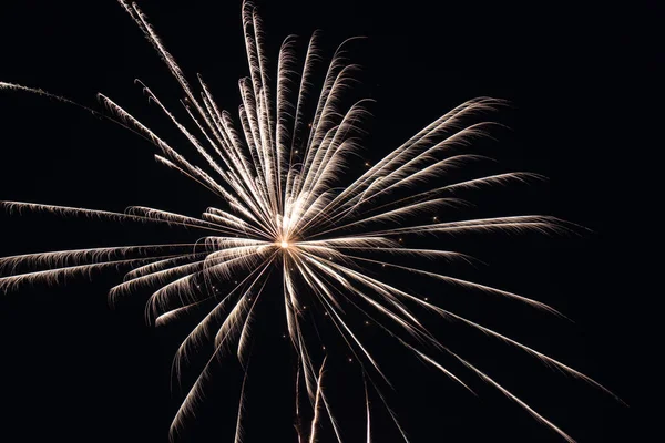 Fuochi Artificio Nel Cielo Notturno — Foto Stock