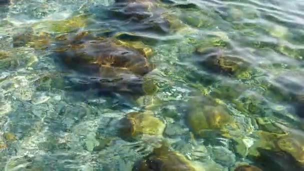 透明度の高い海の水を — ストック動画