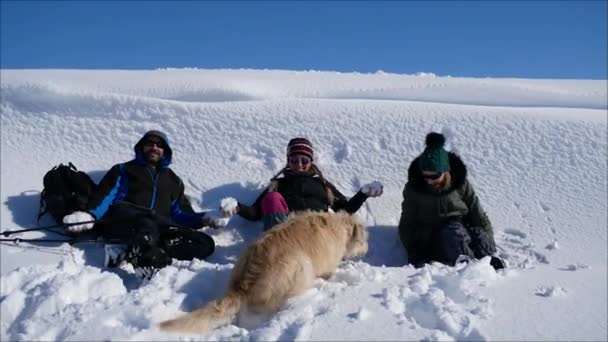 Кадры Лыжников Собакой Горах — стоковое видео