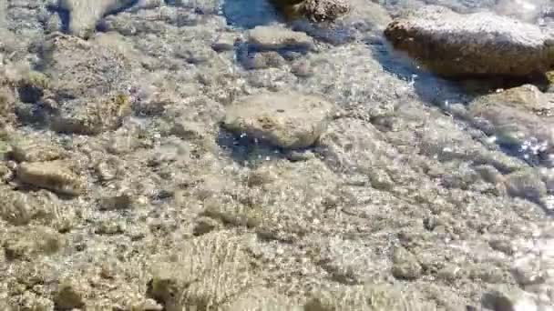 透明度の高い海の水を — ストック動画