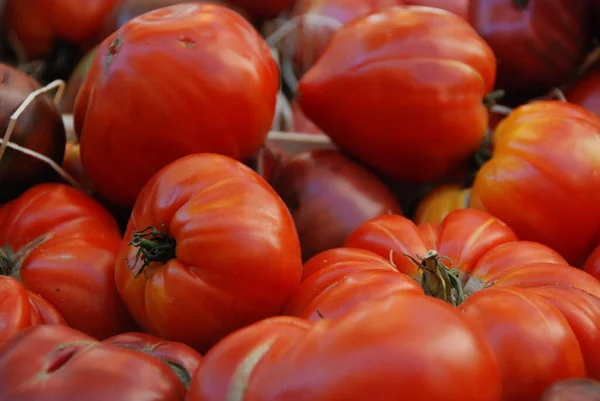 Rote Tomaten Auf Einem Marktstand — Stockfoto