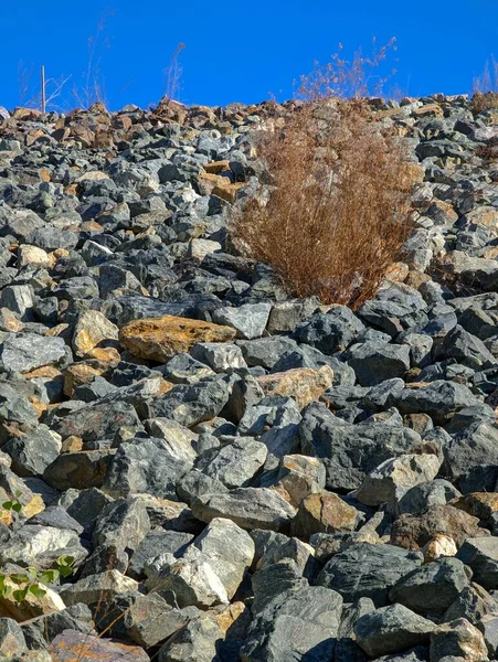 Steinmauer Mit Steinen Und Pflanzen — Stockfoto