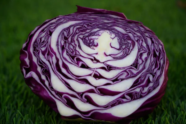 Rotkohl Auf Grünem Hintergrund — Stockfoto