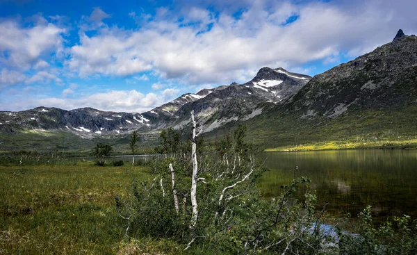 Las Montañas Región Altai Hermosa Vista Del Río — Foto de Stock