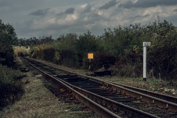 Kurvenreiche Eisenbahn Einer Malerischen Gegend Moldawien Tourismus Förmige Eisenbahn — Stockfoto