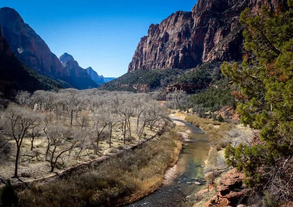 Virgin River Runs Zion National Park Created Remarkable Canyon — Fotografia de Stock