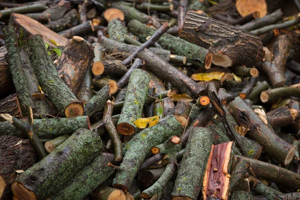 Die Vorbereitung Des Brennholzes Für Den Winter Brennholzhintergrund Brennholzstapel Wald — Stockfoto