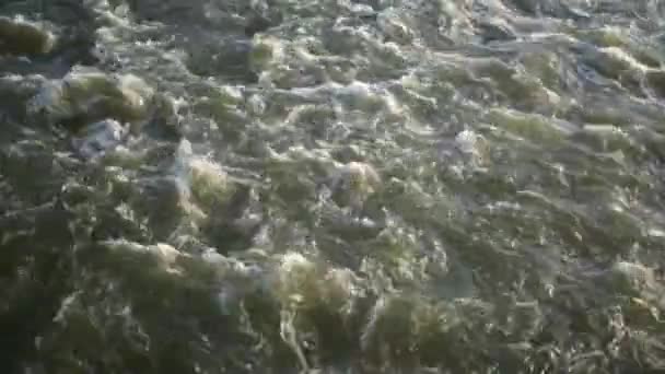 Tiro vertical de rocas en un arroyo que fluye el agua — Vídeos de Stock