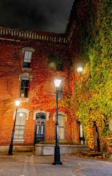 市内の美しい秋の公園 — ストック写真