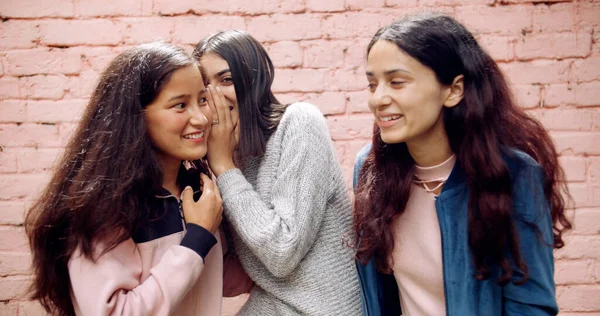 Amiche Posa Sulla Macchina Fotografica Fronte Muro Mattoni — Foto Stock