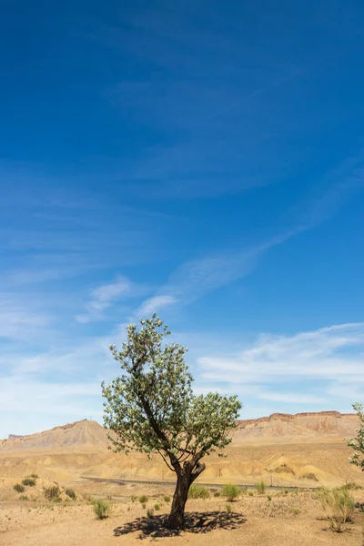 Красивый Пейзаж Пустыни Негев — стоковое фото