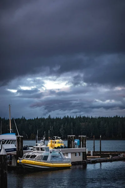 Beautiful View Lake Evening — Stock Photo, Image