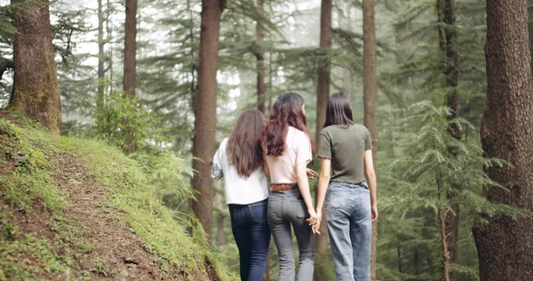 Női Barátok Együtt Töltik Időt Erdőben — Stock Fotó