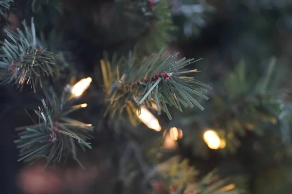 Albero Natale Con Neve Pigne — Foto Stock