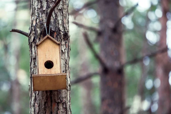 Vogelhuisje Aan Een Boom Het Bos — Stockfoto