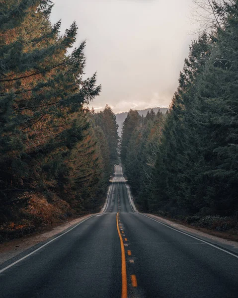Δρόμος Στα Βουνά — Φωτογραφία Αρχείου