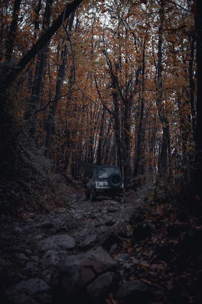 Auto Nel Buio Della Foresta — Foto Stock