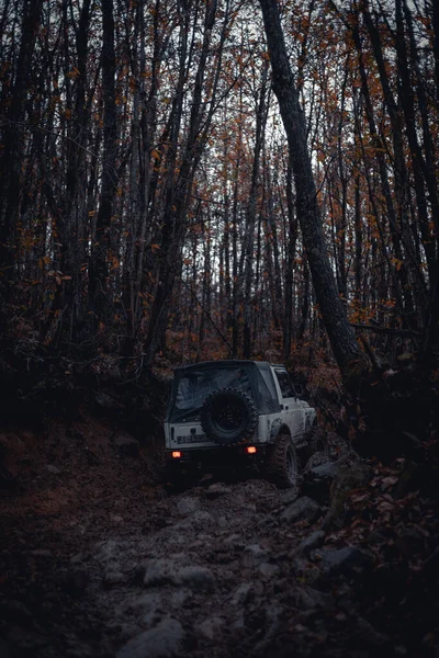 Autó Erdőben Sötétség — Stock Fotó