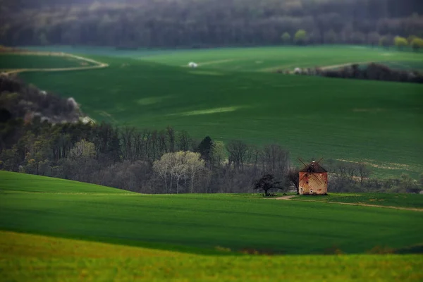 Schöne Landschaft Mit Einer Grünen Wiese Und Einem Bewölkten Himmel — Stockfoto