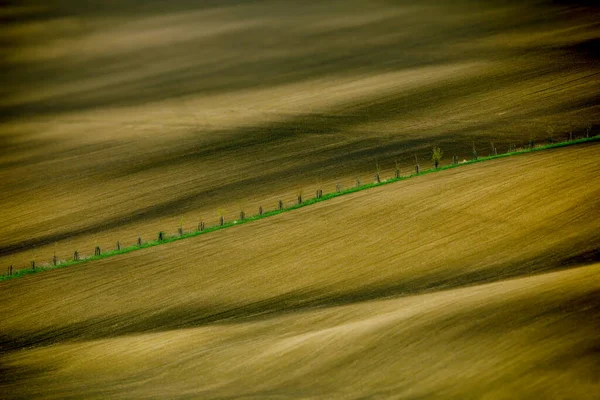 Fondo Abstracto Con Una Textura Madera —  Fotos de Stock