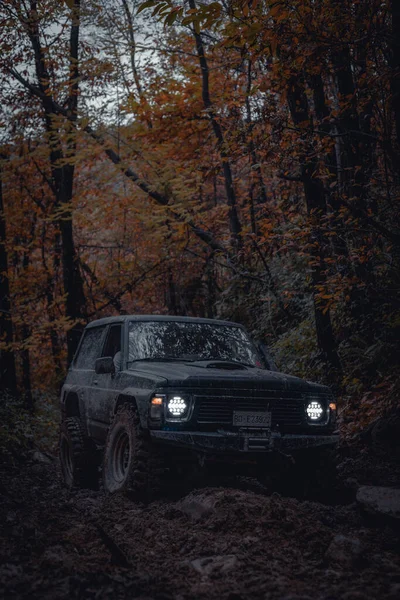 Samochód Lesie Ciemność — Zdjęcie stockowe