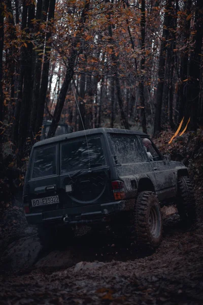 Ormanın Karanlığında Araba — Stok fotoğraf