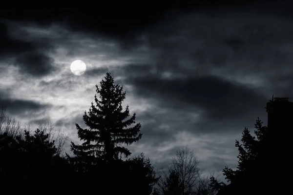 Güzel Bir Gece Gökyüzünün Siyah Beyaz Fotoğrafı — Stok fotoğraf