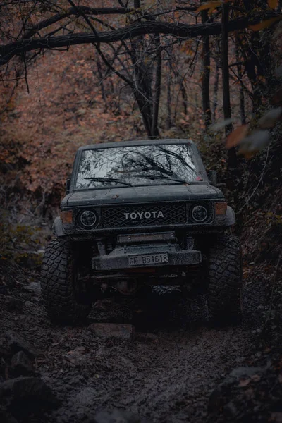 Ormanın Karanlığında Araba — Stok fotoğraf