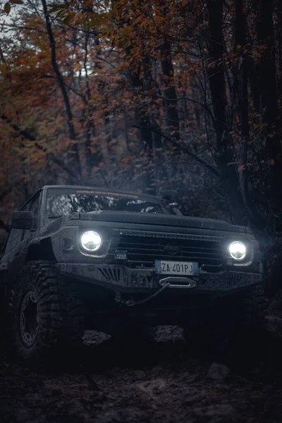 Voiture Dans Forêt Obscurité — Photo