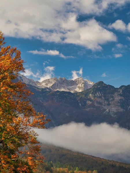 Schöne Herbstlandschaft Mit Bäumen Und Bergen — Stockfoto