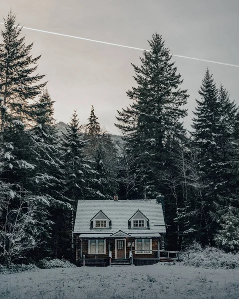 美丽的冬季风景 冰雪覆盖的树木 — 图库照片