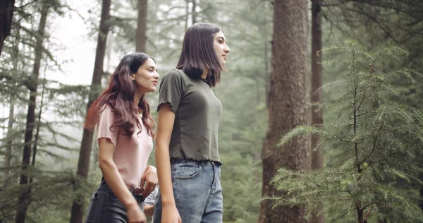 Freundinnen Verbringen Zeit Gemeinsam Wald — Stockfoto