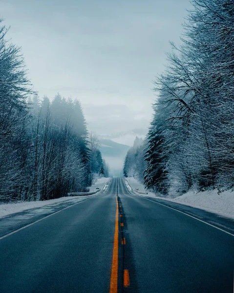 Väg Skogen — Stockfoto