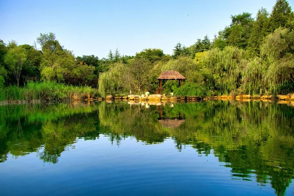 Hermoso Paisaje Con Lago Bosque —  Fotos de Stock