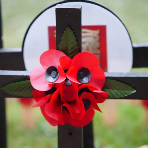 Een Prachtig Rood Hart Met Een Strik Een Bloem — Stockfoto