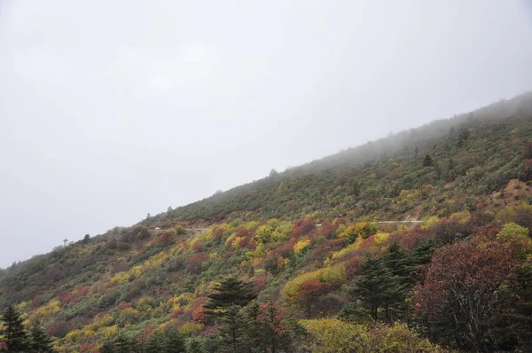 Eine Schöne Herbstliche Berglandschaft — Stockfoto