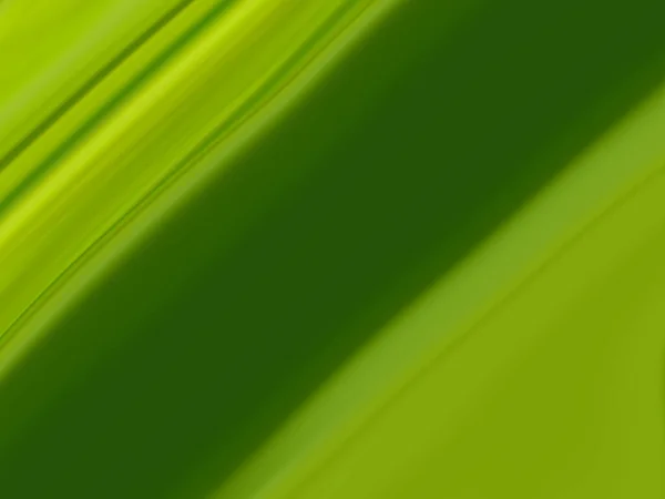 Abstract Background Green Colors Perfect Wallpaper — Stock Fotó