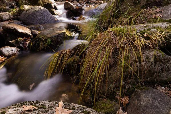 Ormanda Güzel Bir Şelale — Stok fotoğraf