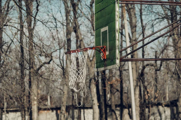 Rua Basquete Aro Galhos Árvore — Fotografia de Stock