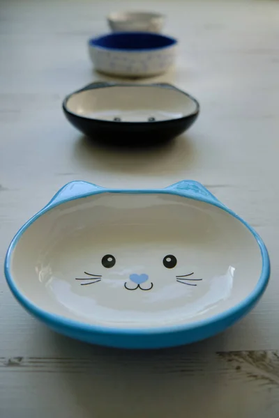 Close Four Ceramic Bowls Bowls Kittens One Line — Stockfoto