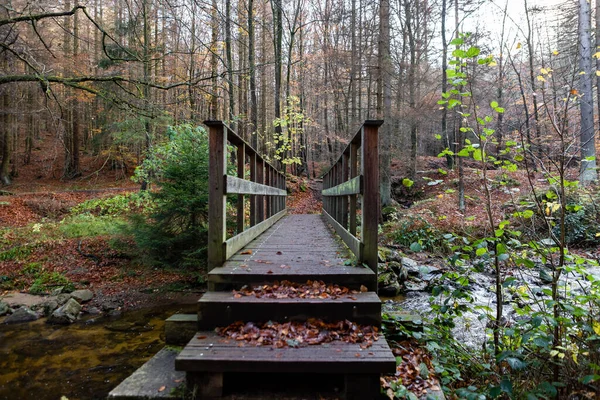 Holzbrücke Wald — Stockfoto