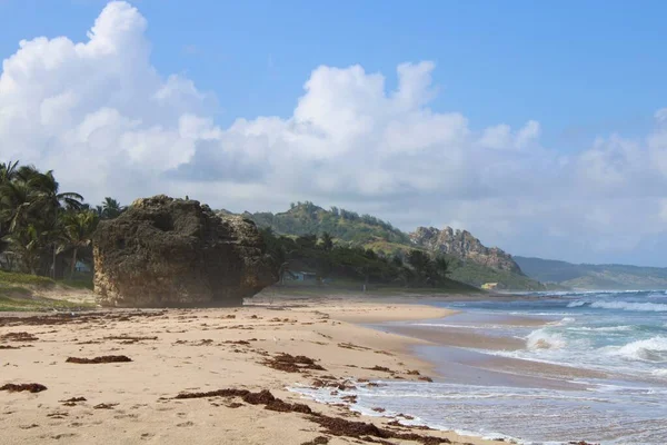 Bela Praia Com Palmeiras Céu Azul — Fotografia de Stock