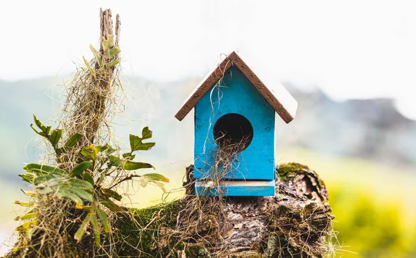 Birdhouse Closeup Tronco Árvore — Fotografia de Stock