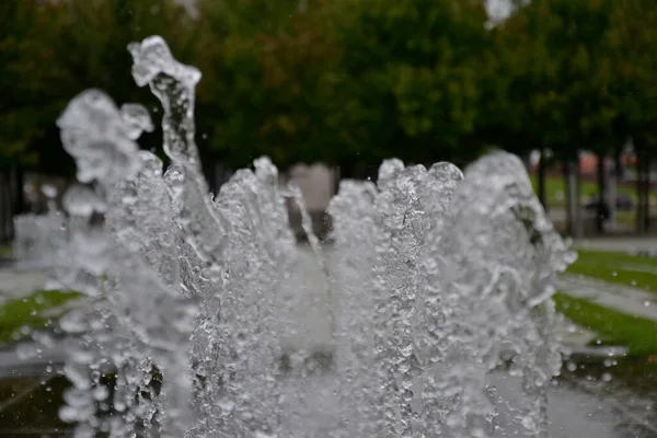 公園内の噴水 — ストック写真