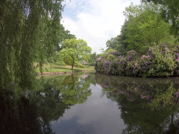 Piękny Widok Park — Zdjęcie stockowe