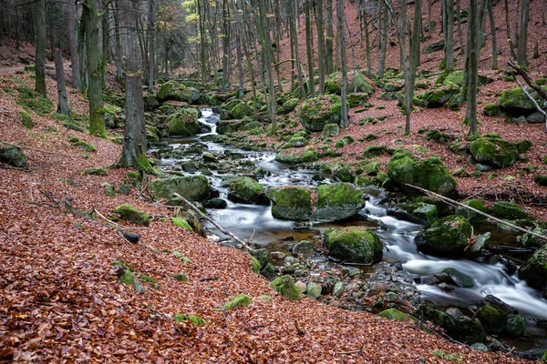 Όμορφο Φθινόπωρο Δάσος Ένα Ποτάμι Στο Παρασκήνιο — Φωτογραφία Αρχείου