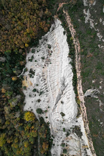 Воздушный Вид Лес Горах — стоковое фото