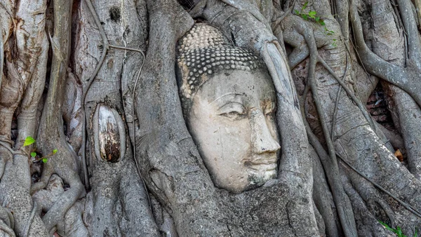 Άγαλμα Του Βούδα Στο Ναό Του Angkor Wat Cambodia — Φωτογραφία Αρχείου