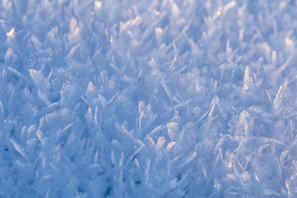 Textura Neve Coberta Geada — Fotografia de Stock