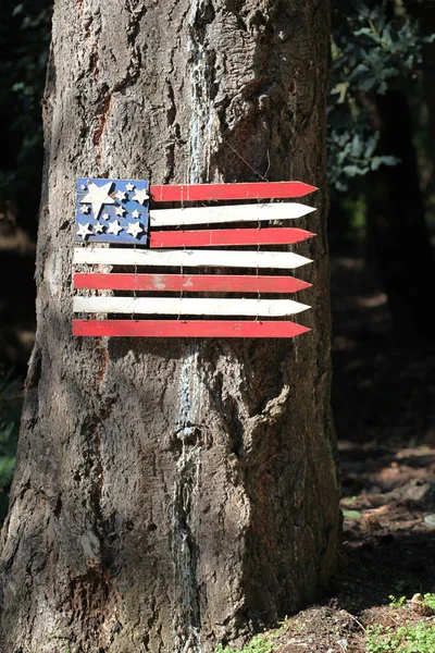 Drapeau Des Etats Unis Sur Fond Parc National Image En Vente